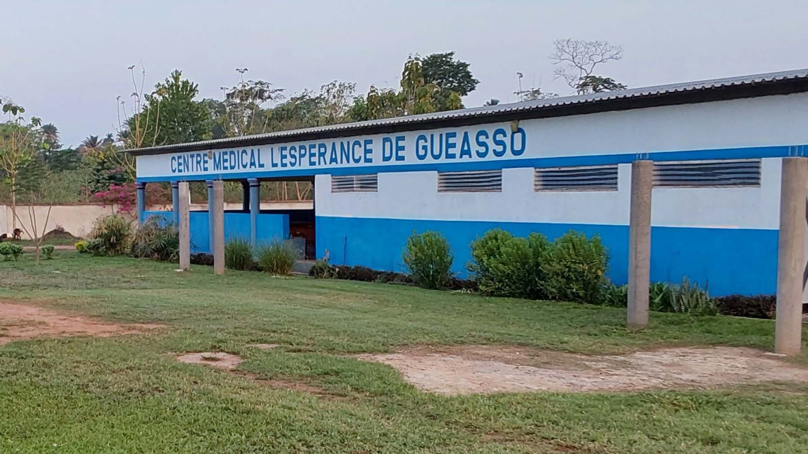 20230326_gueasso clinic web.jpg