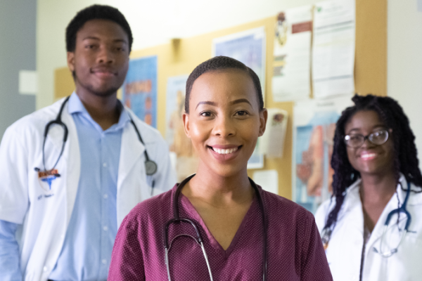 Arts regionale stad afrika.png